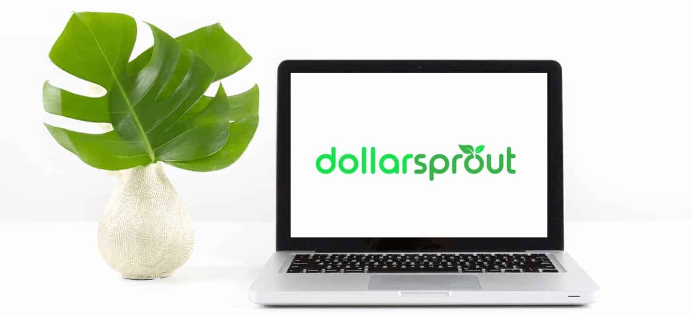 Blog Rebrand: VTX Capital to DollarSprout