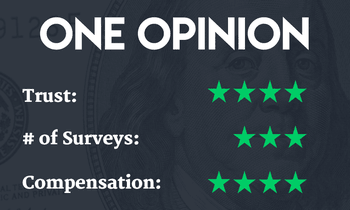 13 Best Places To Take Paid Online Surveys For Money Up To 50 Hr - 