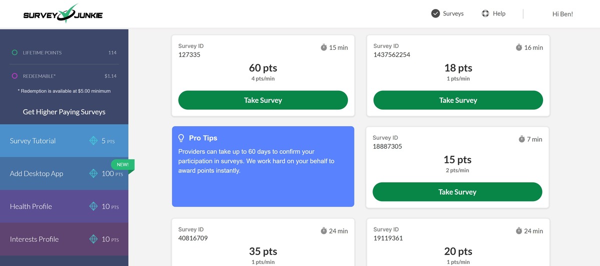 survey junkie dashboard