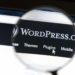 Best WordPress plugins for monetizing your blog