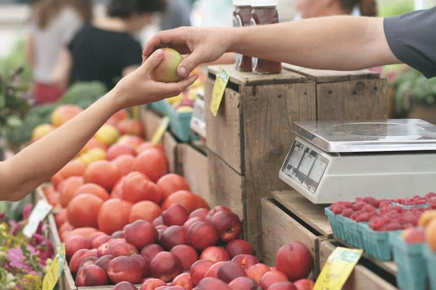 Couponing at grocery stores for beginners 