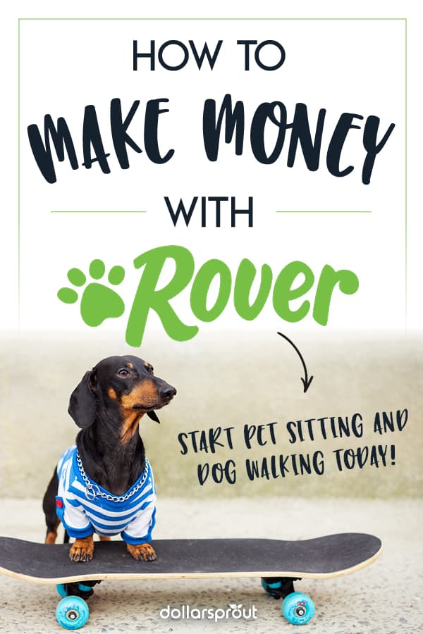 How To Make Money Dog Sitting With Rover Dollarsprout