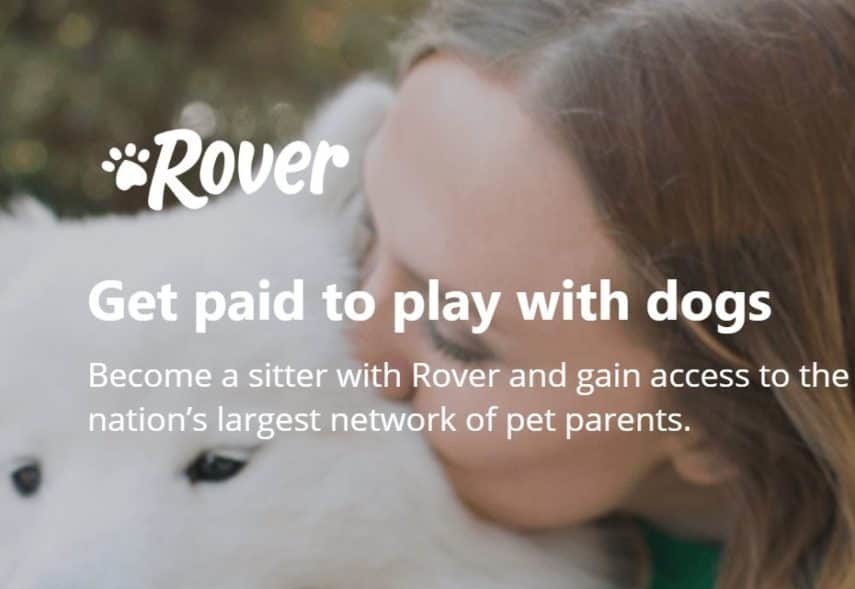 Rover homepage