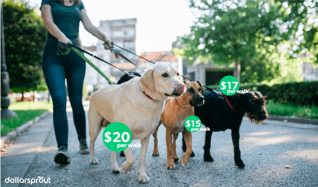 Hypothetical dog walking rates of up to $20 per hour