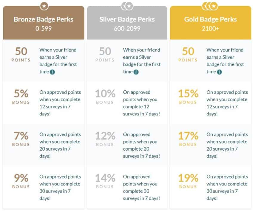 Branded Surveys Review How Much I Earned in 3 Hours