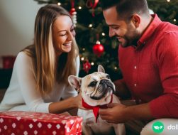 A husband giving his wife a French bulldog for Christmas.