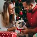 A husband giving his wife a French bulldog for Christmas.