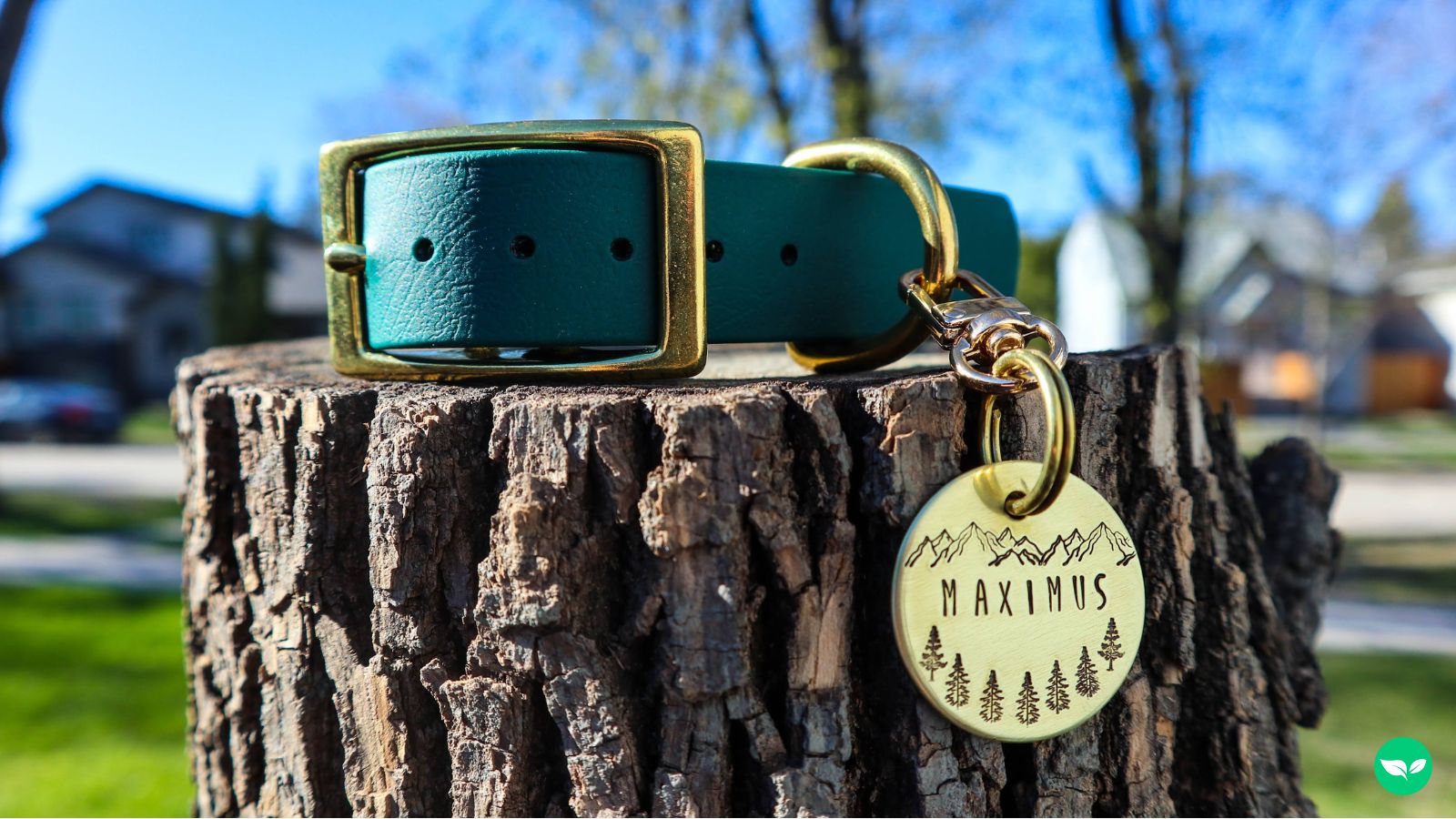 A photo of a dog necklace and name tag.