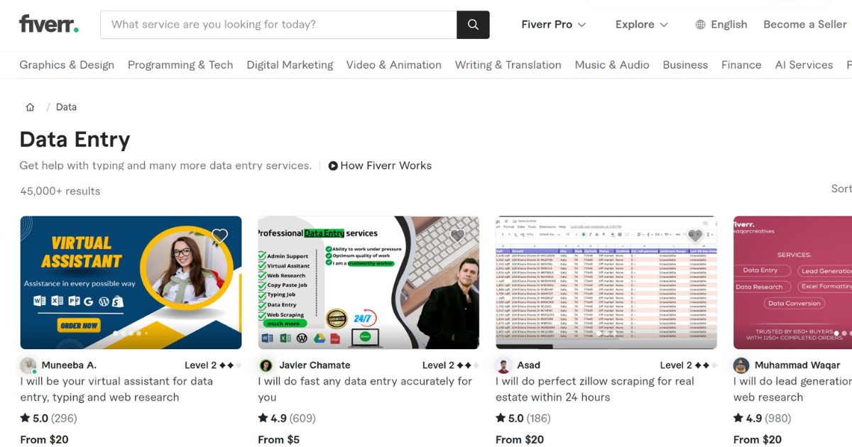 fiverr data entry jobs