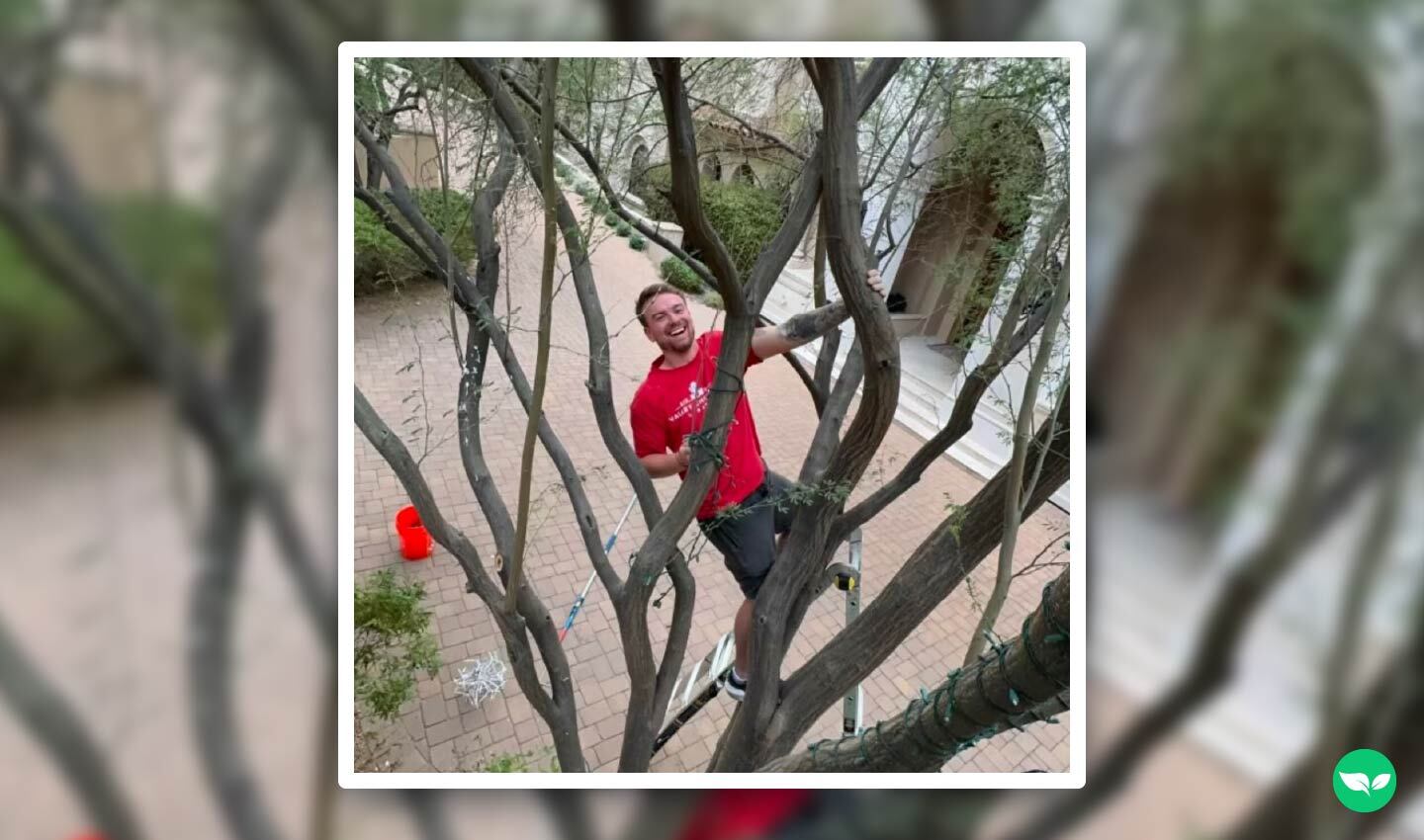 Steve smiles while standing in a tree, wrapping light with a ladder and gear.