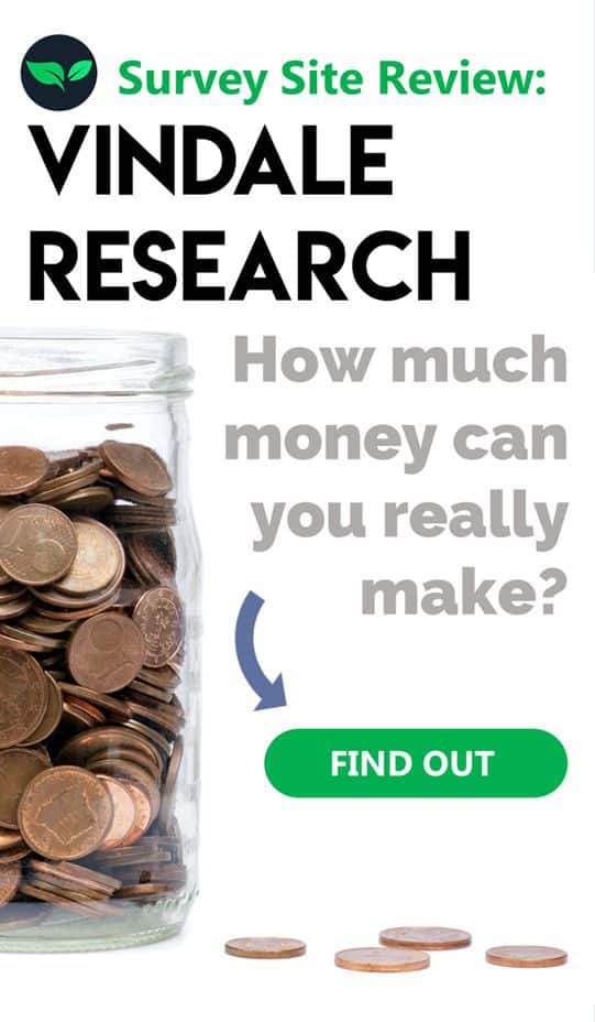 Vindale Research Review How Much Money Can You Really Make - paid online surveys are the easiest way to make extra money from h!   ome we can think